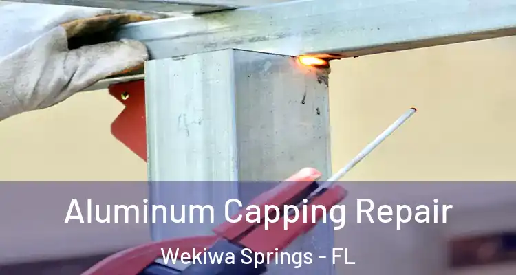  Aluminum Capping Repair Wekiwa Springs - FL