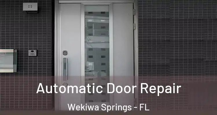  Automatic Door Repair Wekiwa Springs - FL