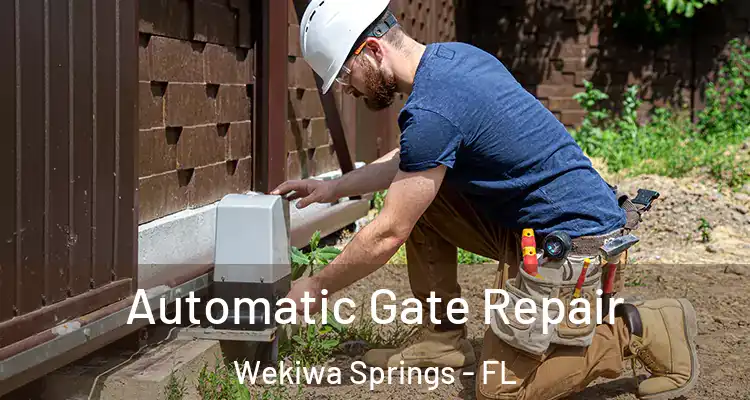  Automatic Gate Repair Wekiwa Springs - FL