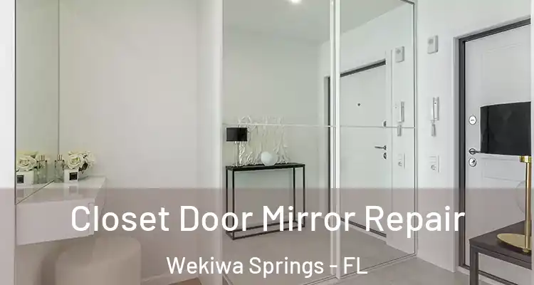  Closet Door Mirror Repair Wekiwa Springs - FL