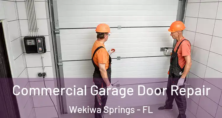  Commercial Garage Door Repair Wekiwa Springs - FL