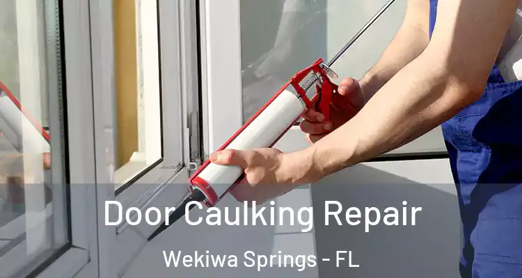  Door Caulking Repair Wekiwa Springs - FL