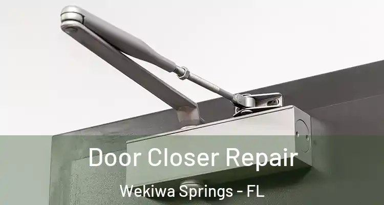  Door Closer Repair Wekiwa Springs - FL