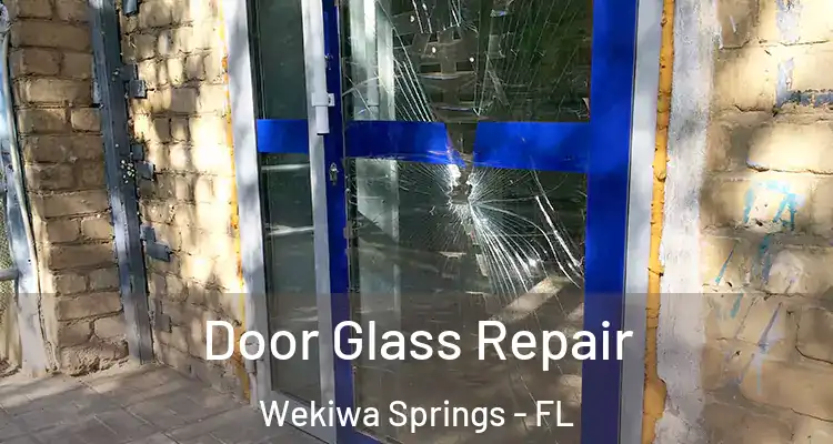  Door Glass Repair Wekiwa Springs - FL