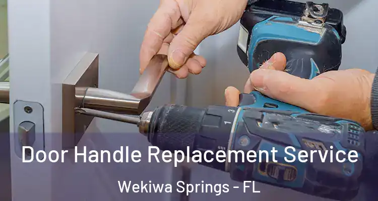  Door Handle Replacement Service Wekiwa Springs - FL
