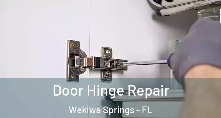  Door Hinge Repair Wekiwa Springs - FL