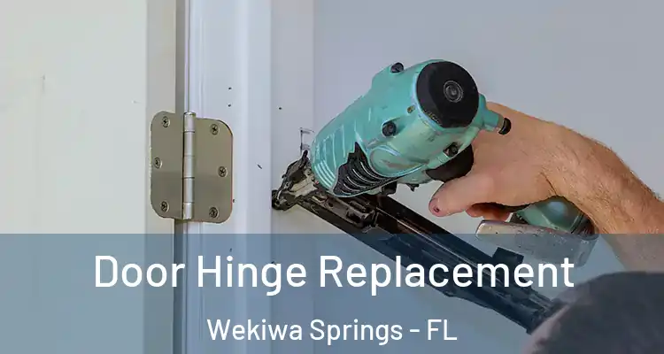  Door Hinge Replacement Wekiwa Springs - FL