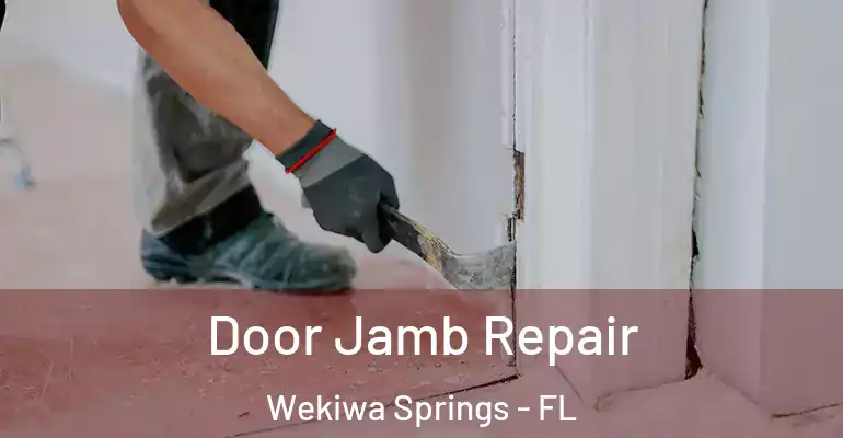  Door Jamb Repair Wekiwa Springs - FL