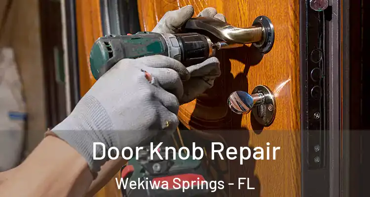 Door Knob Repair Wekiwa Springs - FL