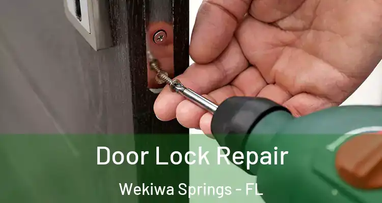  Door Lock Repair Wekiwa Springs - FL