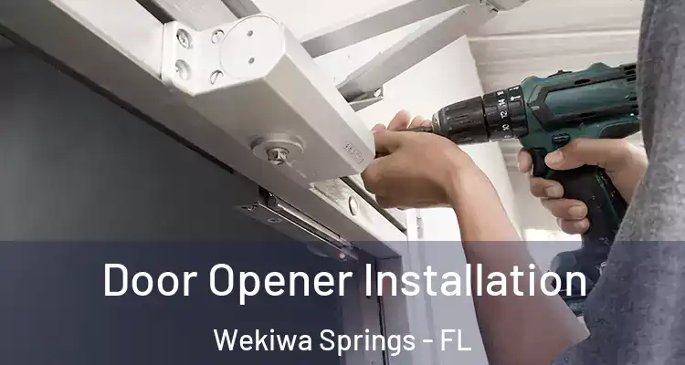  Door Opener Installation Wekiwa Springs - FL