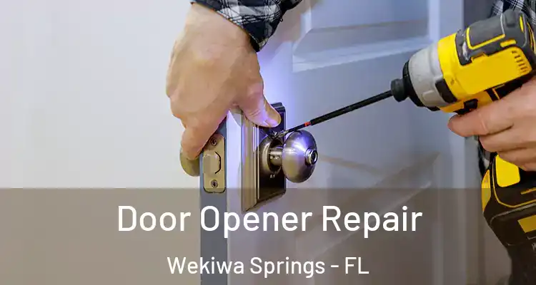  Door Opener Repair Wekiwa Springs - FL