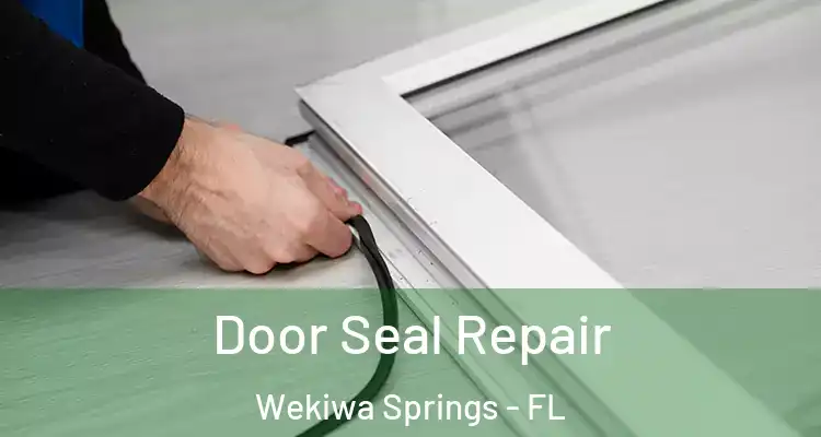  Door Seal Repair Wekiwa Springs - FL