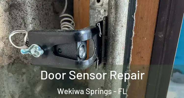  Door Sensor Repair Wekiwa Springs - FL