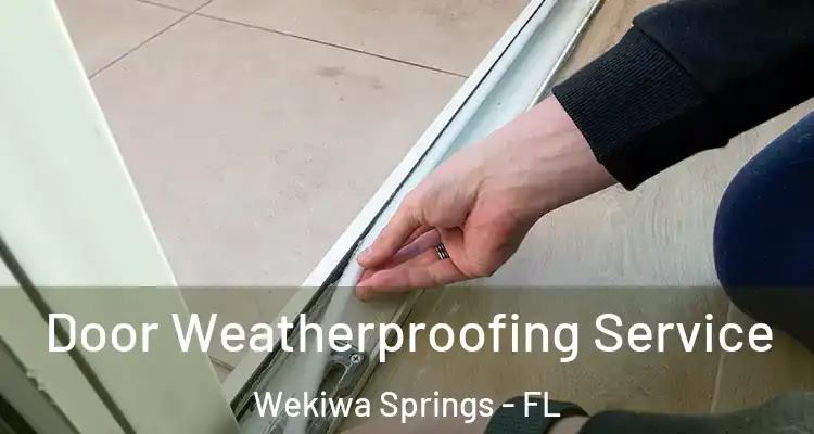  Door Weatherproofing Service Wekiwa Springs - FL