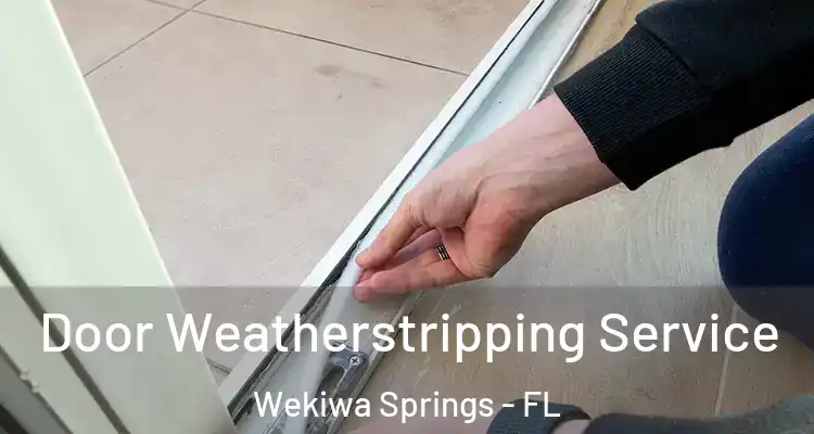  Door Weatherstripping Service Wekiwa Springs - FL