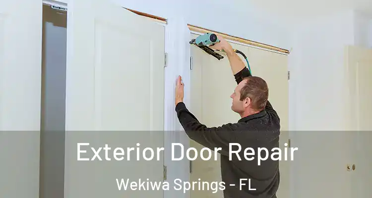  Exterior Door Repair Wekiwa Springs - FL