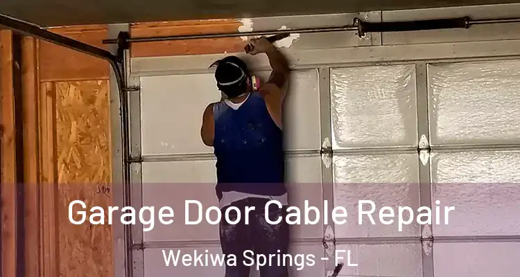  Garage Door Cable Repair Wekiwa Springs - FL