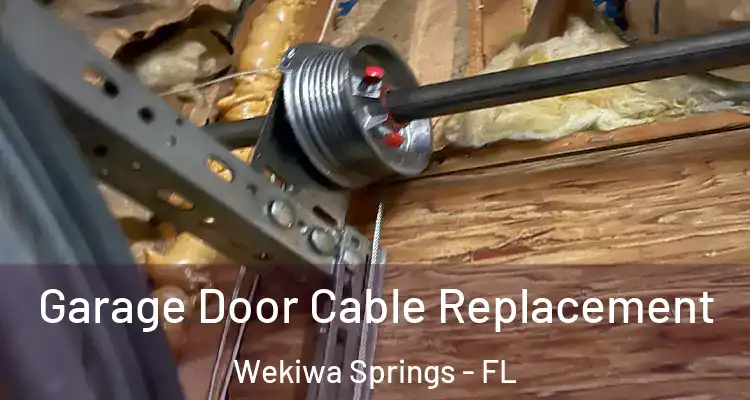  Garage Door Cable Replacement Wekiwa Springs - FL