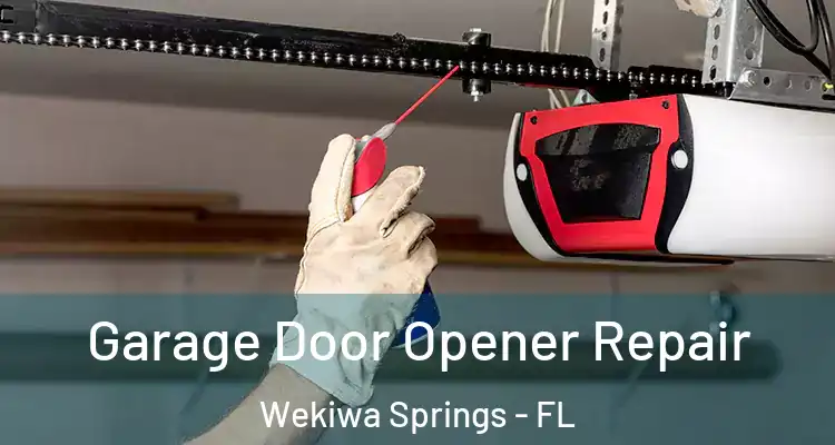  Garage Door Opener Repair Wekiwa Springs - FL
