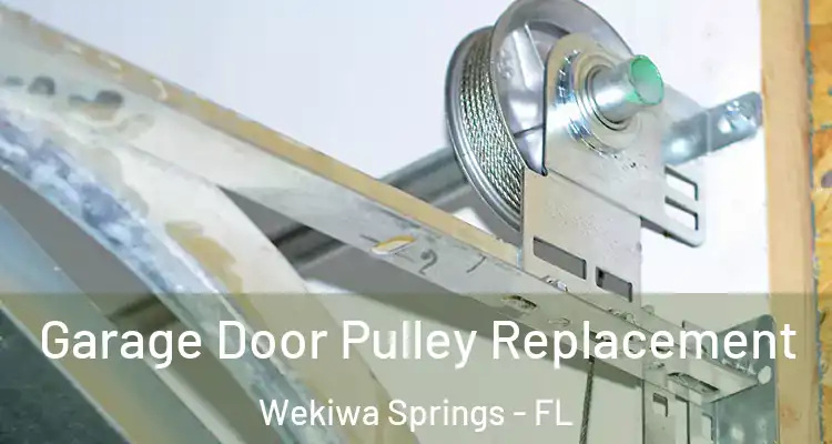  Garage Door Pulley Replacement Wekiwa Springs - FL