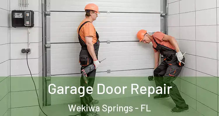  Garage Door Repair Wekiwa Springs - FL