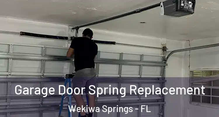  Garage Door Spring Replacement Wekiwa Springs - FL