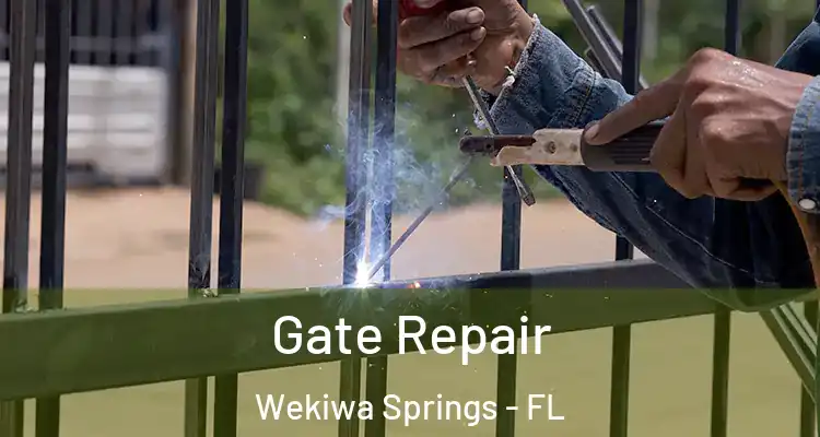  Gate Repair Wekiwa Springs - FL
