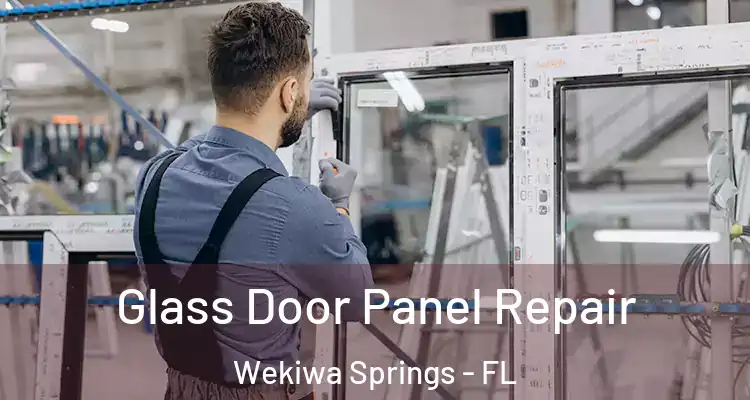  Glass Door Panel Repair Wekiwa Springs - FL
