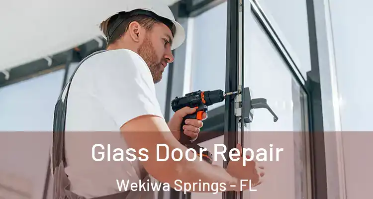  Glass Door Repair Wekiwa Springs - FL