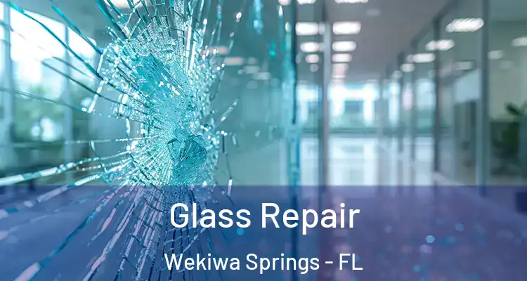  Glass Repair Wekiwa Springs - FL
