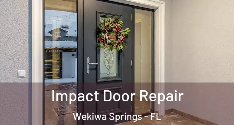  Impact Door Repair Wekiwa Springs - FL