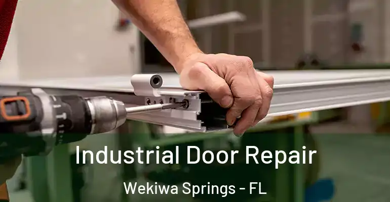  Industrial Door Repair Wekiwa Springs - FL