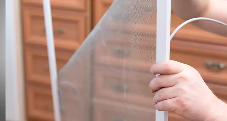 Privacy Mesh Screen Door Installation in Wekiwa Springs, FL