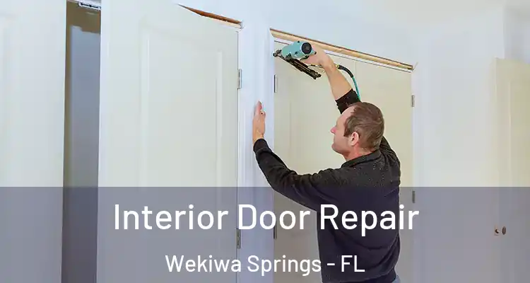  Interior Door Repair Wekiwa Springs - FL