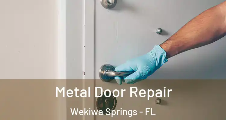  Metal Door Repair Wekiwa Springs - FL