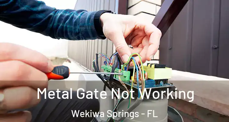  Metal Gate Not Working Wekiwa Springs - FL