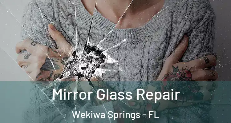  Mirror Glass Repair Wekiwa Springs - FL