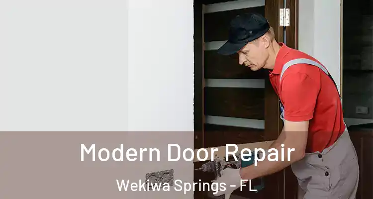  Modern Door Repair Wekiwa Springs - FL