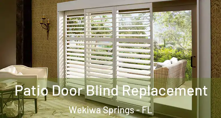  Patio Door Blind Replacement Wekiwa Springs - FL