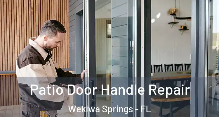  Patio Door Handle Repair Wekiwa Springs - FL