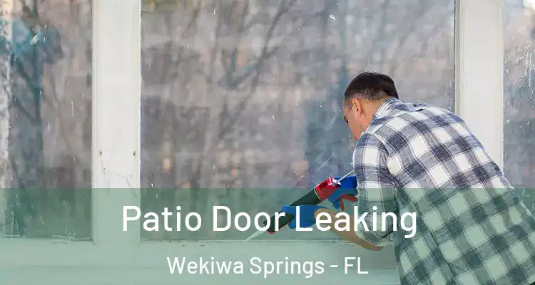  Patio Door Leaking Wekiwa Springs - FL