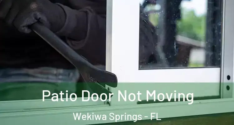  Patio Door Not Moving Wekiwa Springs - FL