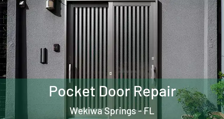  Pocket Door Repair Wekiwa Springs - FL