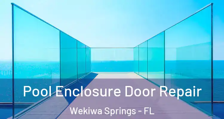  Pool Enclosure Door Repair Wekiwa Springs - FL