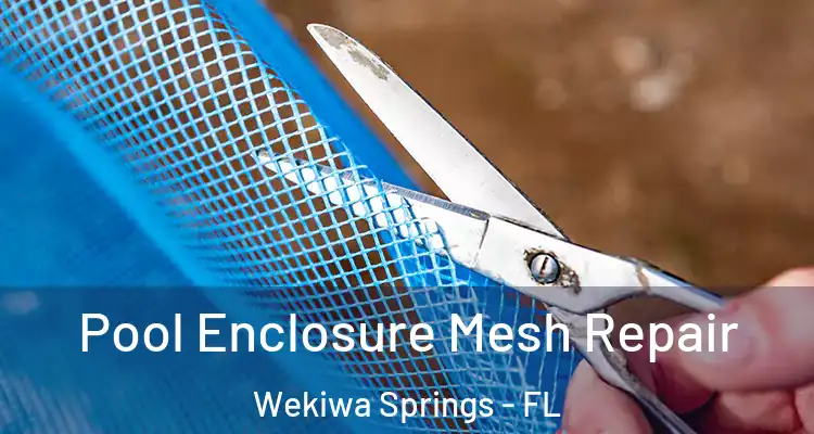  Pool Enclosure Mesh Repair Wekiwa Springs - FL