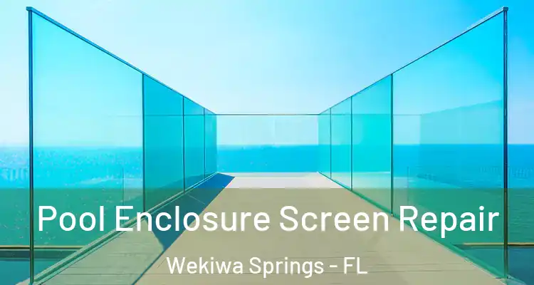  Pool Enclosure Screen Repair Wekiwa Springs - FL