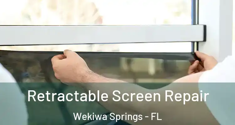 Retractable Screen Repair Wekiwa Springs - FL