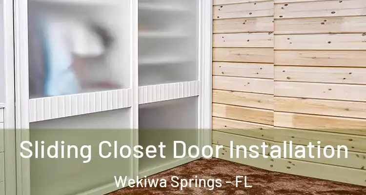  Sliding Closet Door Installation Wekiwa Springs - FL