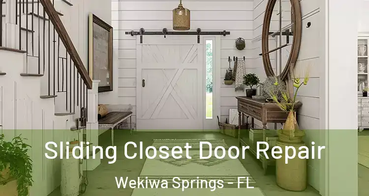  Sliding Closet Door Repair Wekiwa Springs - FL
